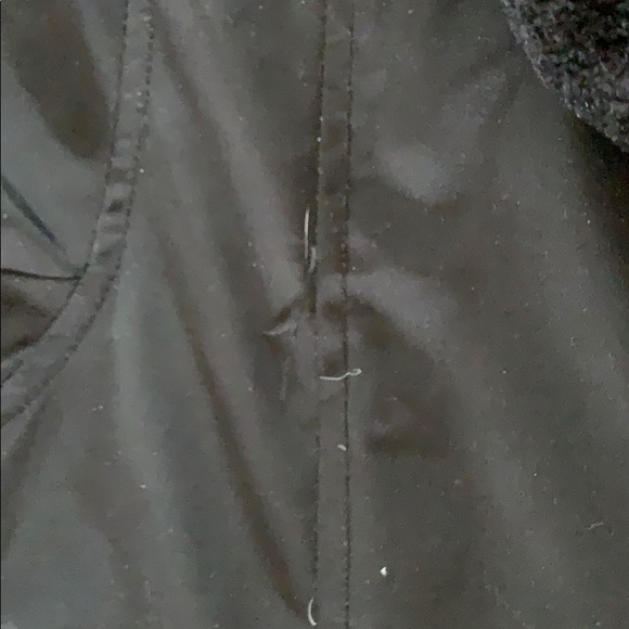 Canada goose replica - Picture 4 of 6